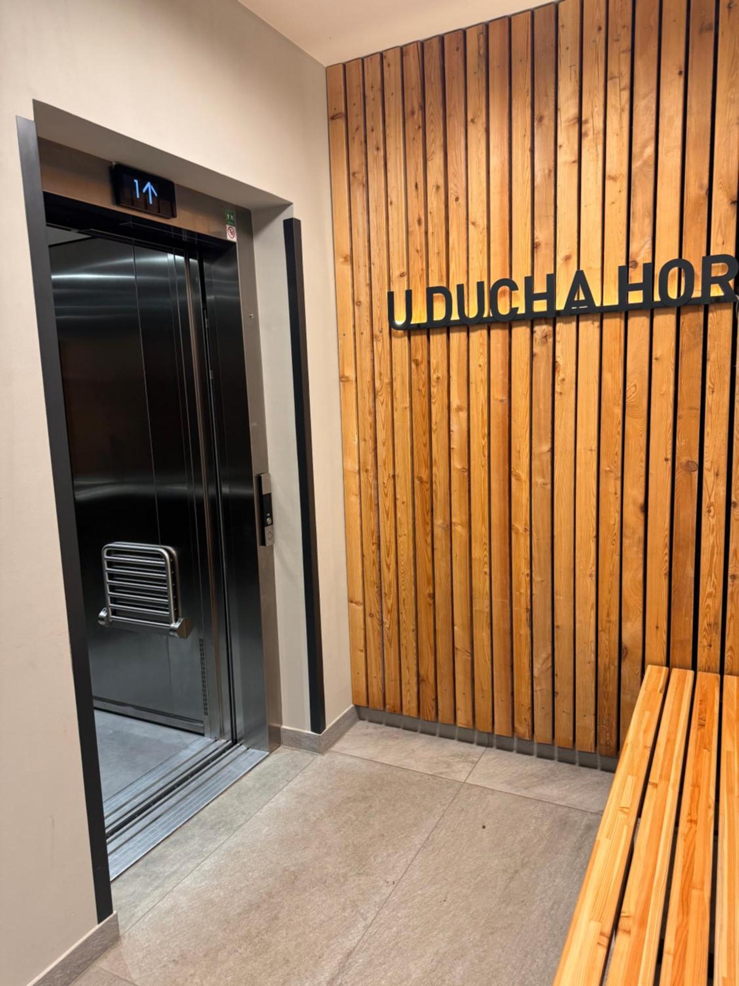 Luxusni Apartman Grand V Centru Harrachova Se Soukromou Mega Terasou, S Privatnim Parkovanim Zdarma, S Moznosti Dobijeni Wallbox Ev A Vyhledem Na Harrachovsky Kostelicek ภายนอก รูปภาพ